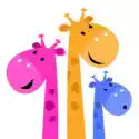 Naklejka Kolorowa Żyrafa Rodziny Na Białym