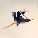 Fototapeta Piękne Baletnik Stwarzających Na Tle Studio