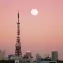 Myloview Fototapeta Tokyo Tower