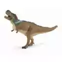  Dinozaur Tyrannosaurus Rex Z Ruchomą Szczęką 