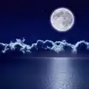 Myloview Fototapeta Pełnia Księżyca Nad Morzem