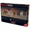  Puzzle Panoramiczne 1000 El. Dzikie Konie Anatolian