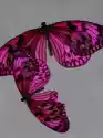 Myloview Fototapeta Pink Butterfly Martwa Natura