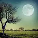 Plakat Romantyczny Wieczór W Świetle Księżyca