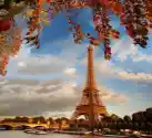 Myloview Fototapeta Wieża Eiffla Z Liści Jesienią W Paryżu, Francja