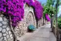 Myloview Fototapeta Vibrant Kwiat Drapowana Droga W Capri, Włochy