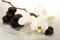Obraz Kamienie Spa I Kwiatów Orchidei, Na Białym Tle.