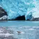 Myloview Obraz Glacier Na Alasce