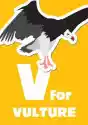 Obraz V Dla Vulture, Alfabet Zwierząt Dla Dzieci