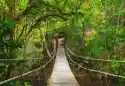 Myloview Fototapeta Most Do Dżungli, Park Narodowy Khao Yai, Tajlandia
