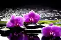 Myloview Obraz Spa Still Life Z Zestawem Różowa Orchidea I Refleksji Kami