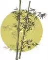 Naklejka Bamboo Ilustracja
