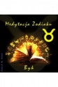 (E) Medytacja Zodiaku. Byk - Paweł Stań