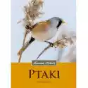  Ptaki. Fauna Polski 