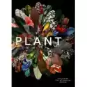  Plant Exploring The Botanical World 