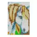 Fandy Diamentowa Mozaika - Koń 10X15Cm 