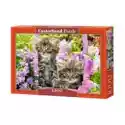  Puzzle 1000 El. Kittens In Summer Garden Castorland