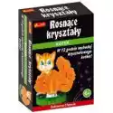  Rosnące Kryształy. Kotek Ranok-Creative