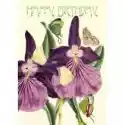 Madame Treacle Madame Treacle Karnet B6 Brokat Z Kopertą Urodziny Orchidea 
