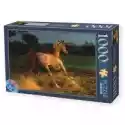 D Toys  Puzzle 1000 El. Galopujący Koń D-Toys