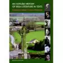  An Outline History Of Irish Literature In Texts 