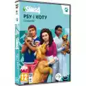 Electronic Arts The Sims 4: Psy I Koty - Dodatek Gra Pc