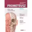  Prometeusz Atlas Anatomii Człowieka Tom 3 Głowa, Szyja I Neuroa