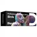 Discovery Zestaw Mikropreparatów Discovery Prof Dps 5. „Ptaki”