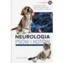  Neurologia Psów I Kotów 