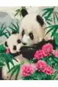 Obraz Malowanie Po Numerach - Mama Panda Z Dzieckiem