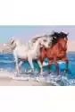 Obraz Paint It! Malowanie Po Numerach - Konie Na Wybrzeżu