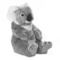 Wwf Plush Collection  Koala 22 Wwf Wwf Plush Collection