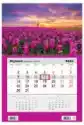 Kalendarz 2023 Jednodzielny Kwiaty Tulipany