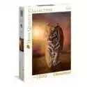 Clementoni  Puzzle 1500 El. High Quality Collection. Tygrys Clementoni