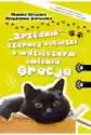 Zrzędnik Czarnej Kociczki O Wdzięcznym Imieniu Gracja