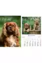 Kalendarz 2023 Ścienny Wieloplanszowy Psy