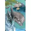 Worth Keeping Worth Keeping Mini Kartka 3D Delfin 