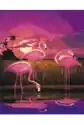 Malowanie Po Numerach. Flamingi