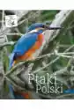 Ptaki Polski T.1 + Cd