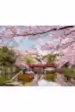 Twoje Hobby Malowanie Po Numerach. Chińska Sakura