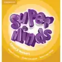  Super Minds. Level 5. Posters (10) 