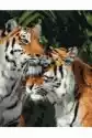 Ideyka Malowanie Po Numerach. Tygrys Miłości