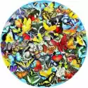  Puzzle 1000 El. Motyle. Lori Schory Sunsout