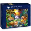 Bluebird Puzzle  Puzzle 1000 El. Rodzinka Tygrysów W Dżungli Bluebird Puzzle