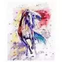 Twoje Hobby Malowanie Po Numerach. Koń W Kolorze 40 X 50 Cm