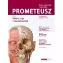  Prometeusz Atlas Anatomii Człowieka Tom Iii. Mianownictwo Angie