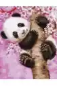 Malowanie Po Numerach. Śliczna Panda
