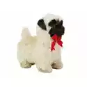  Interaktywny Pies Mops Leantoys