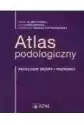 Atlas Podologiczny