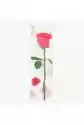 Appree Karteczki Samoprzylepne Pionowe Róża